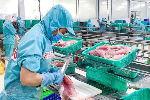 Doanh nghiệp thủy sản bứt phá sau giai đoạn trầm lắng