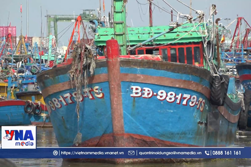 Ngư dân Gia Lai vươn khơi sau bão