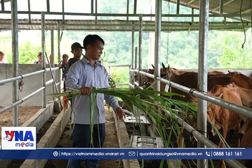 Thoát nghèo nhờ nguồn lực hỗ trợ từ Chương trình mục tiêu quốc gia