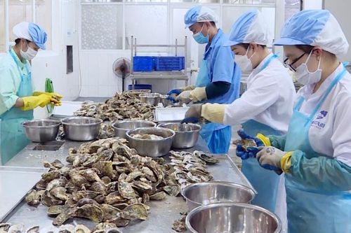 Tăng cường chuỗi liên kết, tạo bước phát triển mới cho 'món quà đến từ biển đảo'