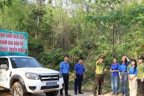 Đẩy mạnh tuyên truyền pháp luật về bảo vệ rừng