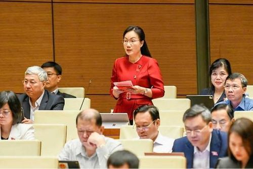 Đại biểu Đỗ Thị Việt Hà: Đề nghị nghiên cứu kỹ quy định về thời hạn kháng nghị trong thi hành án dân sự