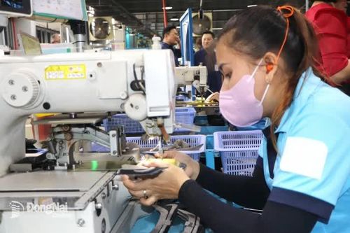 Gỡ vướng hoàn thuế cho doanh nghiệp