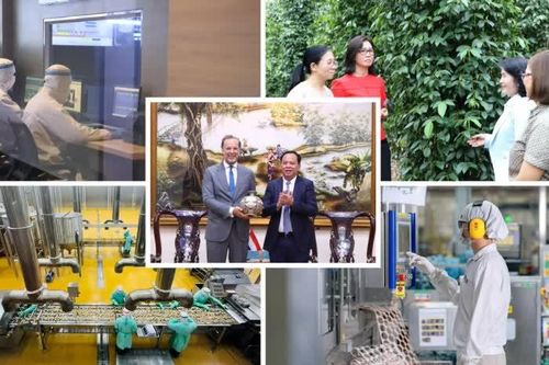 [Loạt Megastory] 'Tam nông' Đồng Nai trong hành trình xanh, bền vững (Kỳ 2)