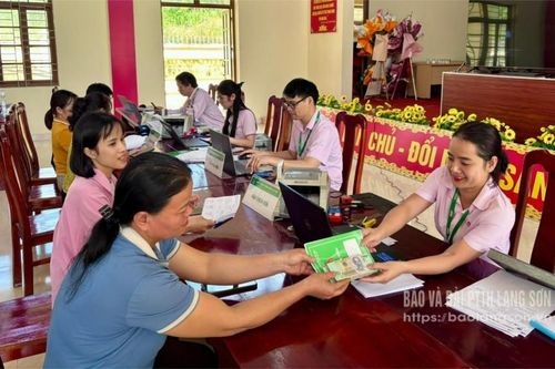 Điểm tựa sau bão