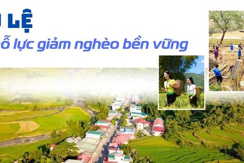 Tú Lệ nỗ lực giảm nghèo bền vững