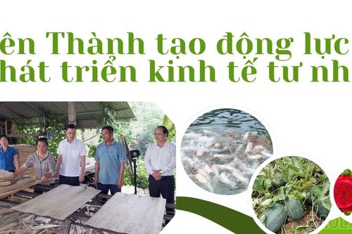 Yên Thành tạo động lực phát triển kinh tế tư nhân