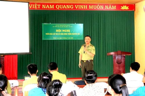 Triển khai thí điểm cấp, quản lý mã số vùng trồng rừng nguyên liệu tại Phúc Lợi và Khánh Hòa