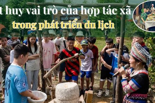 Phát huy vai trò của hợp tác xã trong phát triển du lịch