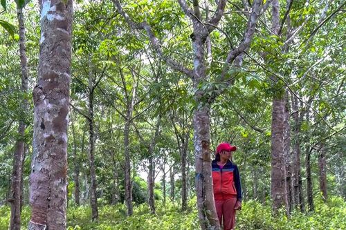 Cánh cửa nâng cao đời sống đồng bào dân tộc thiểu số