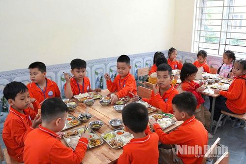 Hỗ trợ suất ăn bán trú - Nuôi dưỡng ước mơ cho trẻ em nghèo