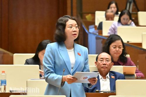 Kỳ họp thứ 10, Quốc hội khóa XV: Đại biểu Quốc hội tỉnh tham gia thảo luận tại hội trường về Dự án Luật Thi hành án dân sự (sửa đổi)