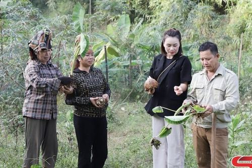 Giữ thương hiệu khoai sọ Cụ Cang