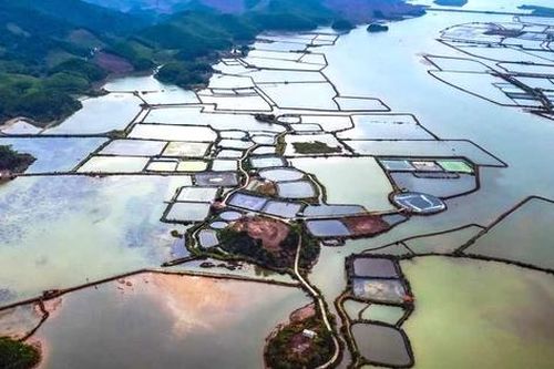 Quảng Ninh: Hải Lạng phấn đấu hoàn thành tiêu chí nông thôn mới nâng cao