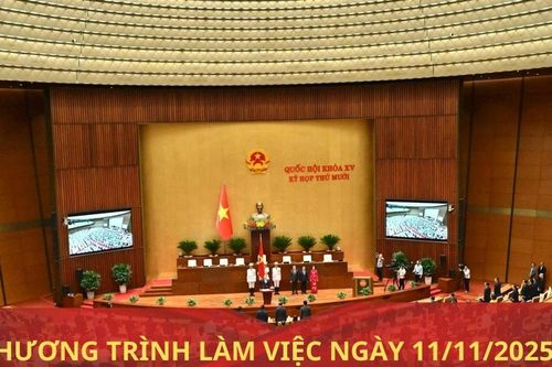 Kỳ họp thứ Mười, Quốc hội Khóa XV: Chương trình làm việc ngày 11/11