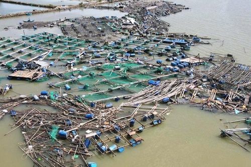 Đắk Lắk: Đề xuất nhiều giải pháp phục hồi ngành thủy sản sau bão số 13