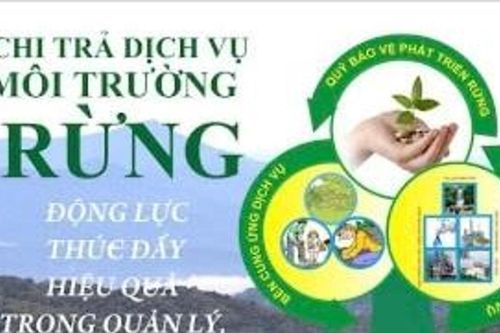 Phát triển lâm nghiệp bền vững: Phát huy giá trị đa dụng của rừng