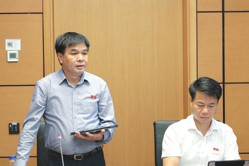 Dự án Luật Đầu tư (sửa đổi): Rà soát kỹ nguyên tắc cắt giảm ngành, nghề kinh doanh có điều kiện