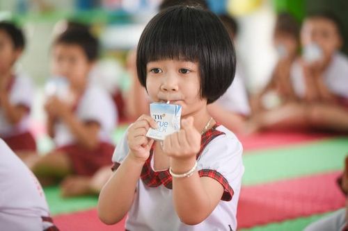 Dinh dưỡng học đường - nền tảng cho tầm vóc và tương lai người Việt