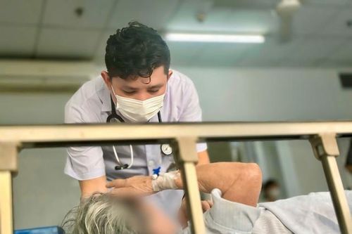 Cụ bà làm vườn nguy kịch vì vết đốt ở nách