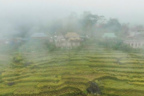 'Sa Pa xứ Thanh' mờ ảo trong sương mù