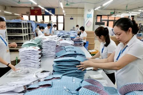 Nội lực hóa nền kinh tế thay vì tăng tuổi nghỉ hưu lên 65
