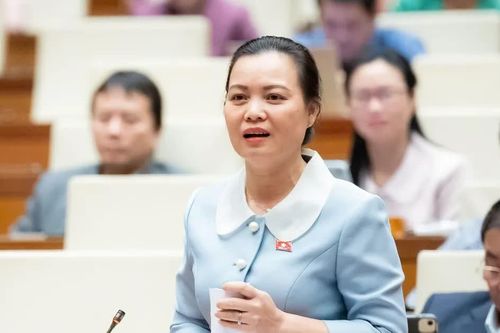 Không có chế tài ràng buộc thì quyền của hành khách bay 'vẫn bị trôi lơ lửng'