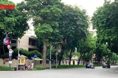 Hà Nội: Đèn tín hiệu chỉ hiển thị 8 giây cuối chu kỳ tại một số ngã tư