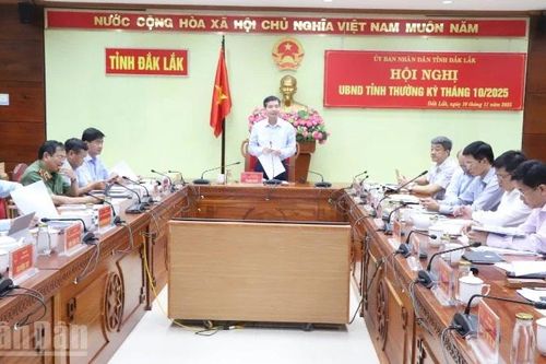 Đắk Lắk đề nghị Chính phủ hỗ trợ 200 tỷ đồng để khắc phục hậu quả cơn bão số 13