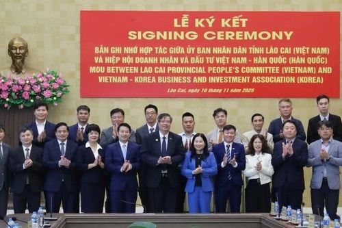 Thúc đẩy hợp tác nhiều mặt giữa tỉnh Lào Cai và các đối tác Hàn Quốc