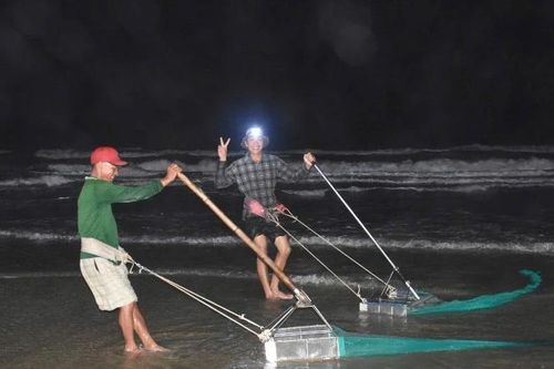 Cào dắt trên vùng biển mặn