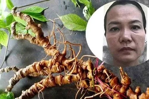 Dựng chuyện kinh doanh trầm hương và Sâm Ngọc Linh, lừa đảo hơn 10 tỷ đồng