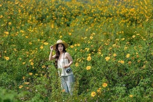 Sân bay cũ Cam Ly điểm đến tuyệt vời ngắm mùa dã quỳ Đà Lạt