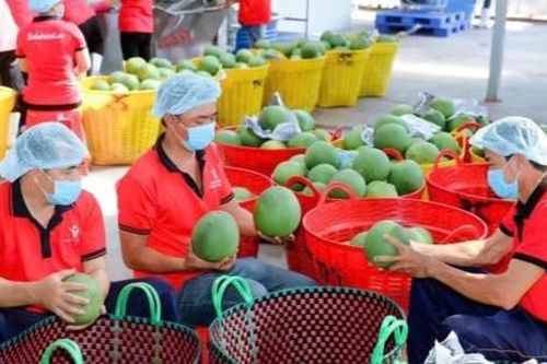 Thúc đẩy chuỗi giá trị xanh, tăng sức cạnh tranh cho nông sản