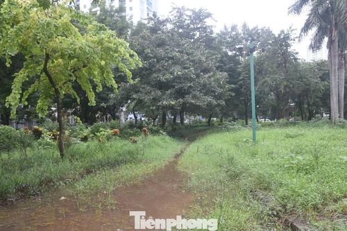 'Lá phổi xanh' giữa trung tâm Thủ đô thành nơi hoang phế