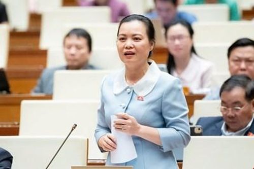 Cần quy định rõ thời hạn hoàn tiền vé máy bay do chậm, hủy chuyến tối đa là 7 ngày