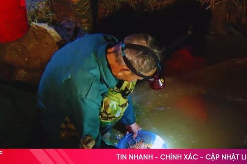 Soi đèn 'săn' rươi ở Hà Tĩnh