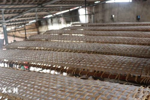 Nghề làm bánh đa nem Thổ Hà - Di sản phi vật thể vùng Kinh Bắc