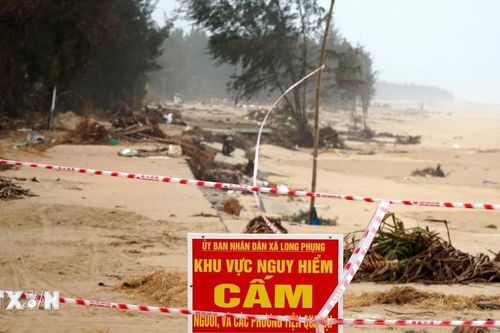 Sạt lở 'ăn' sâu, 80 hộ dân Quảng Ngãi sống trong nỗi lo biển cuốn nhà