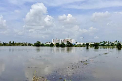 Mực nước trên sông Hậu tại trạm Long Xuyên vẫn còn trên báo động 2