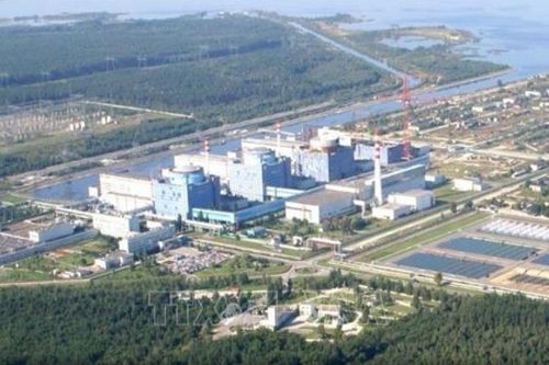 Ukraine bắt nhiều nghi phạm trong vụ điều tra tham nhũng 100 triệu USD ngành năng lượng