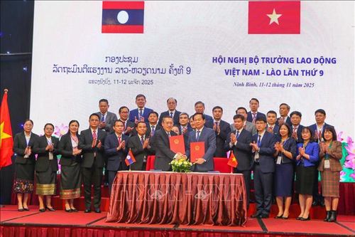 Thúc đẩy quan hệ hợp tác Việt Nam - Lào trong lĩnh vực lao động, người có công