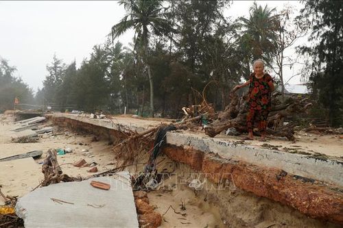 Sạt lở ăn sâu, 80 hộ dân Quảng Ngãi sống trong nỗi lo biển cuốn nhà