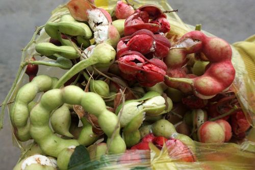 Đặc sản mọc dại, không ai bán nhưng người miền Tây nhìn là biết ngay, hương vị tuổi thơ khó quên