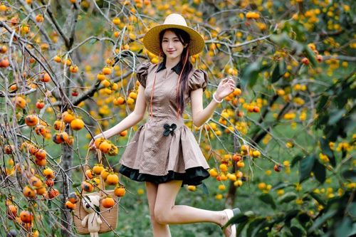 Mộc Châu mùa hồng chín