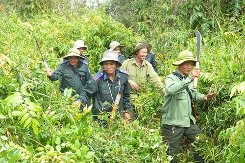 Giữ màu xanh Vườn quốc gia U Minh Thượng