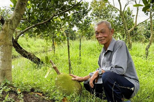 Cựu chiến binh xung kích làm giàu