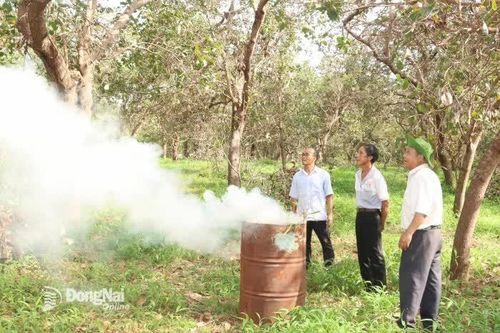 Bù Gia Mập tận dụng lợi thế để bứt phá