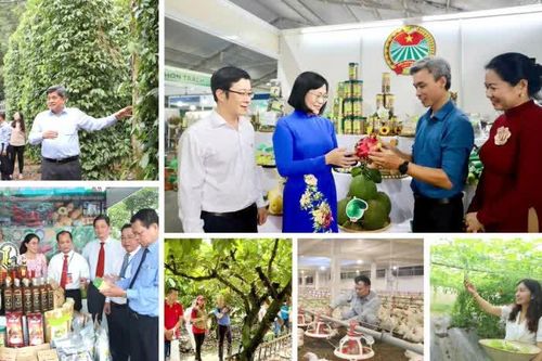 [Loạt Megastory] 'Tam nông' Đồng Nai trong hành trình xanh, bền vững (Kỳ 3)