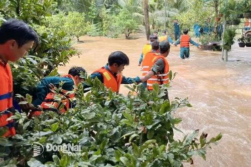 Lực lượng vũ trang tỉnh Đồng Nai giúp nhân dân khắc phục hậu quả thiên tai
